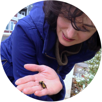 Monarch Butterflies With Michelle McPherson