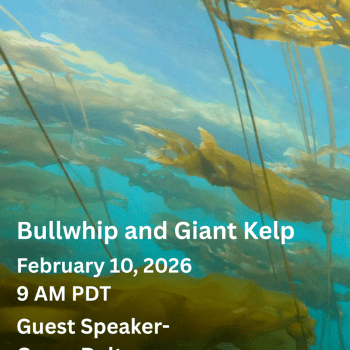 Around the Americas: Bull & Giant Kelp