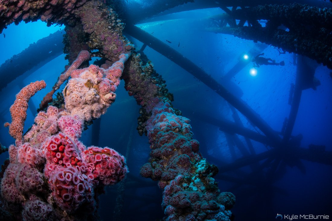 Rigs to Reefs With Amber and Emily