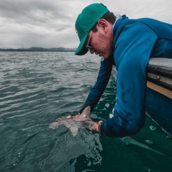 Protecting Sharks Around Malpelo Island With Felipe Ladino