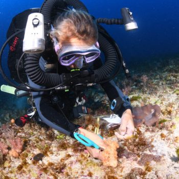 Exploration the Mesophotic Zone With Dr. Sonia J. Rowley