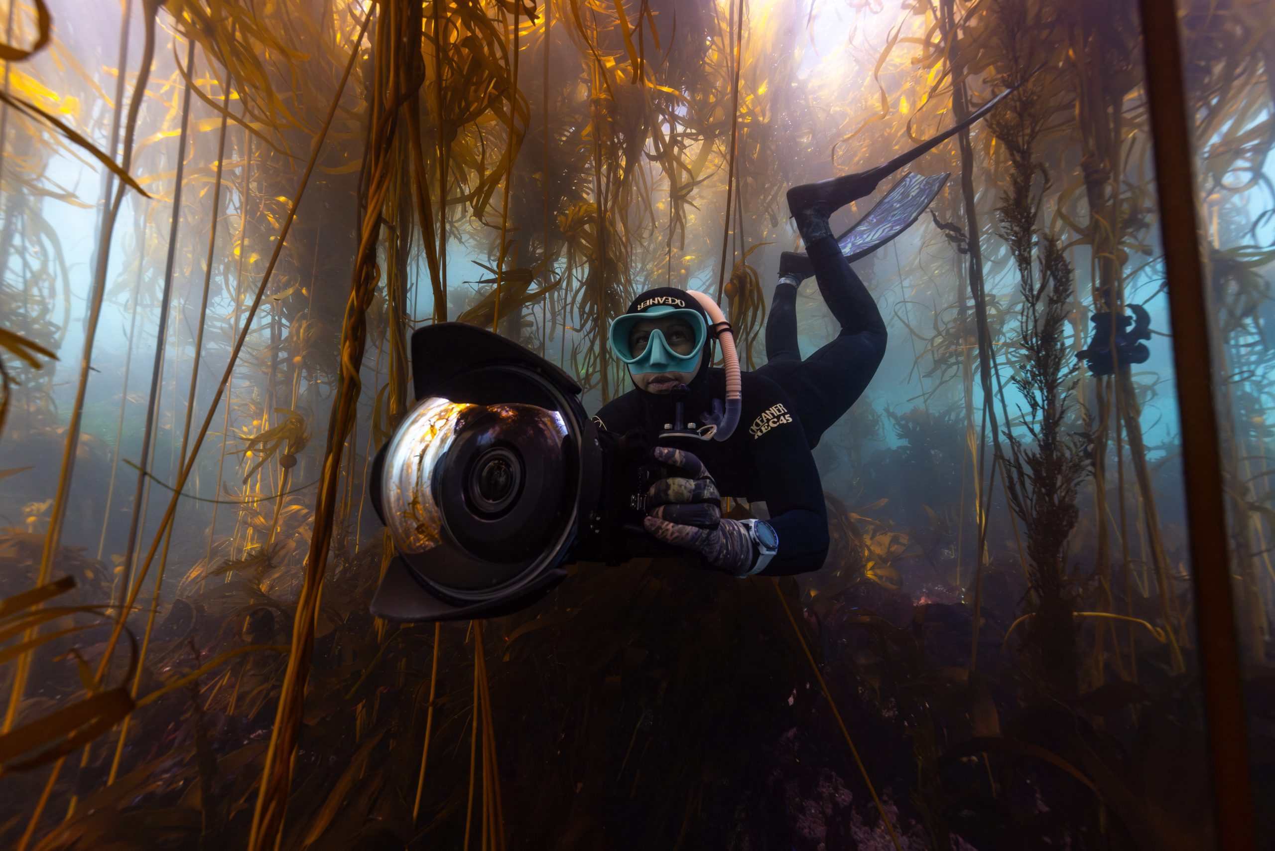 Forests of the Oceans With Dr. Jenny Adler