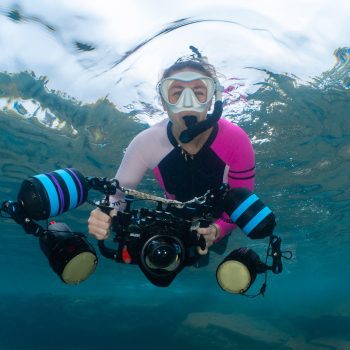 Wildlife Through My Lens with Madalen Howard