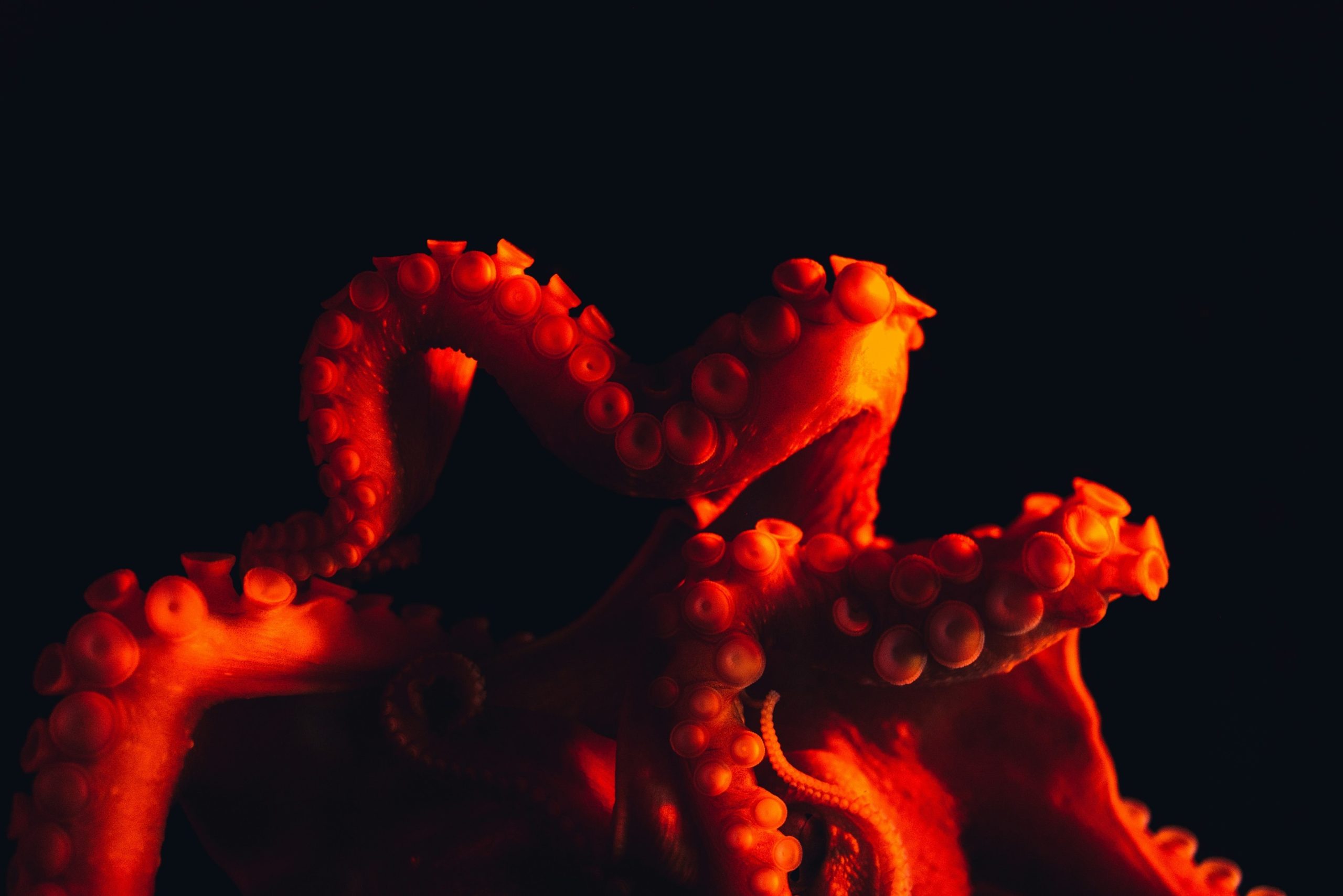 Myths & Monsters of the Sea