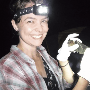 Finding and Saving Bats With Dr. Kristen Lear