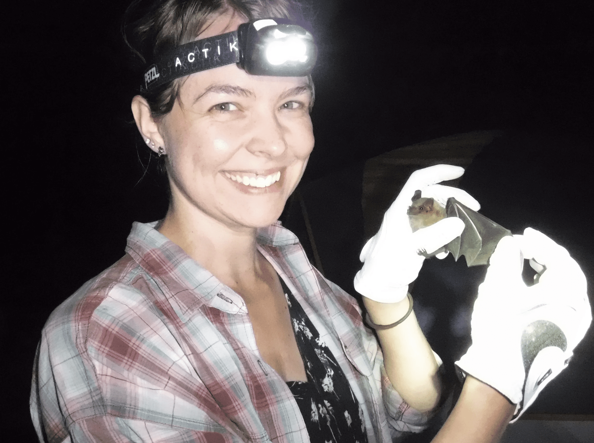 Finding and Saving Bats With Dr. Kristen Lear