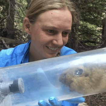 Pika Power! The World’s Cutest Mammal with Dr. Jo Varner