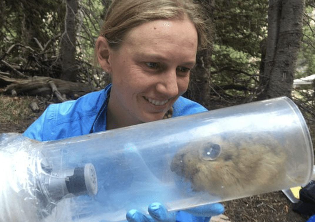 Pika Power! The World’s Cutest Mammal with Dr. Jo Varner
