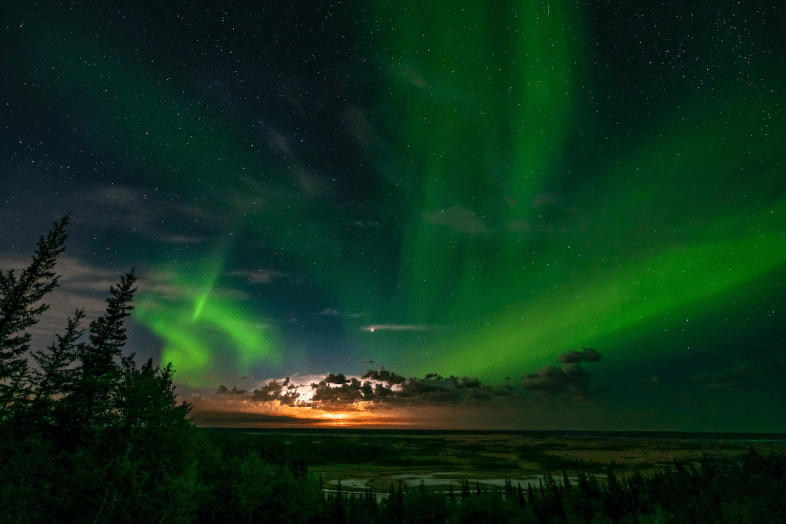 Explore the Beauty of the Dark Sky with Parks Canada