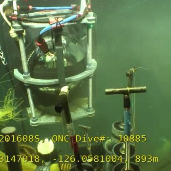 Drop, Cover, and Hold On! Earthquakes with Ocean Networks Canada and the BC Earthquake Alliance