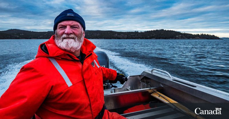 Biodiversity Field Work Live From the Newfoundland Coast