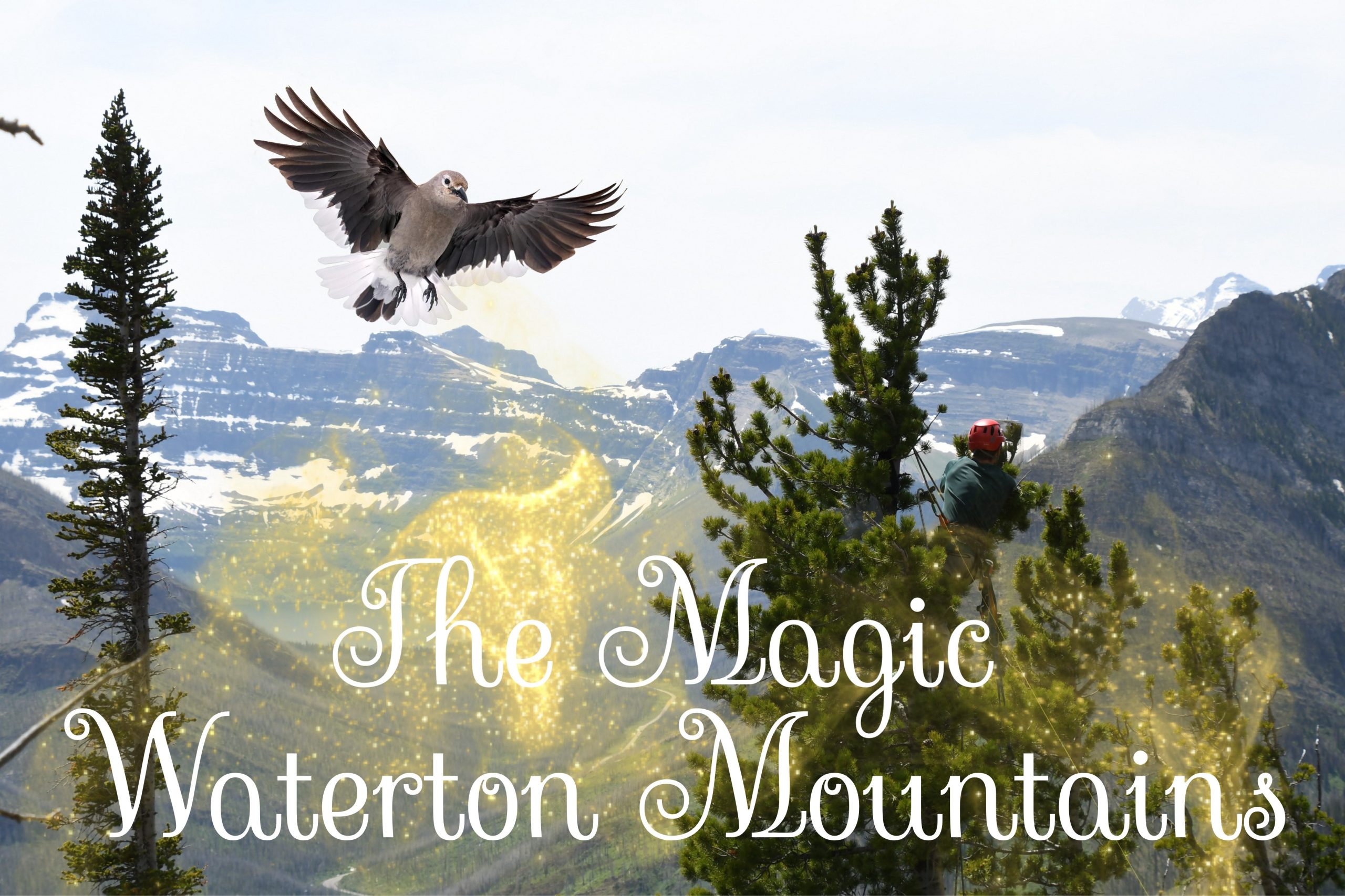 The Magic Waterton Mountains