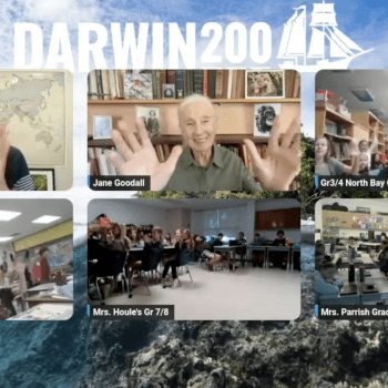 Daily Dive # 228 | Our Favourite Jane Goodall Stories and Bits of Advice for Students