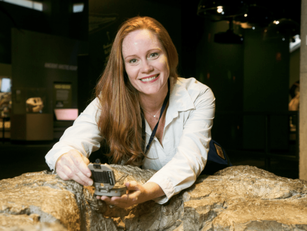 Earthquakes: World Shakers with Wendy Bohon