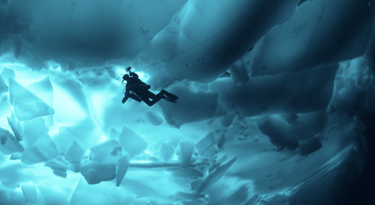 Ocean Water Climate Collection