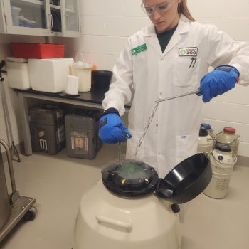 Caribou Biobanking