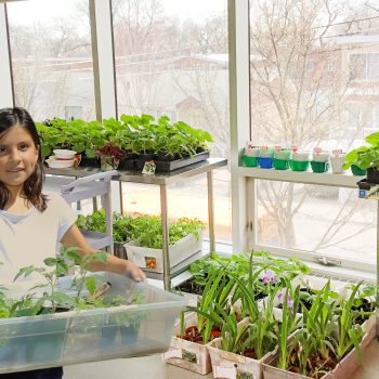 Indoor Gardening for the Future