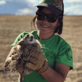 Amazing Grasslands: Prairie Dogs, Black-footed Ferrets, and Bison – Oh My!