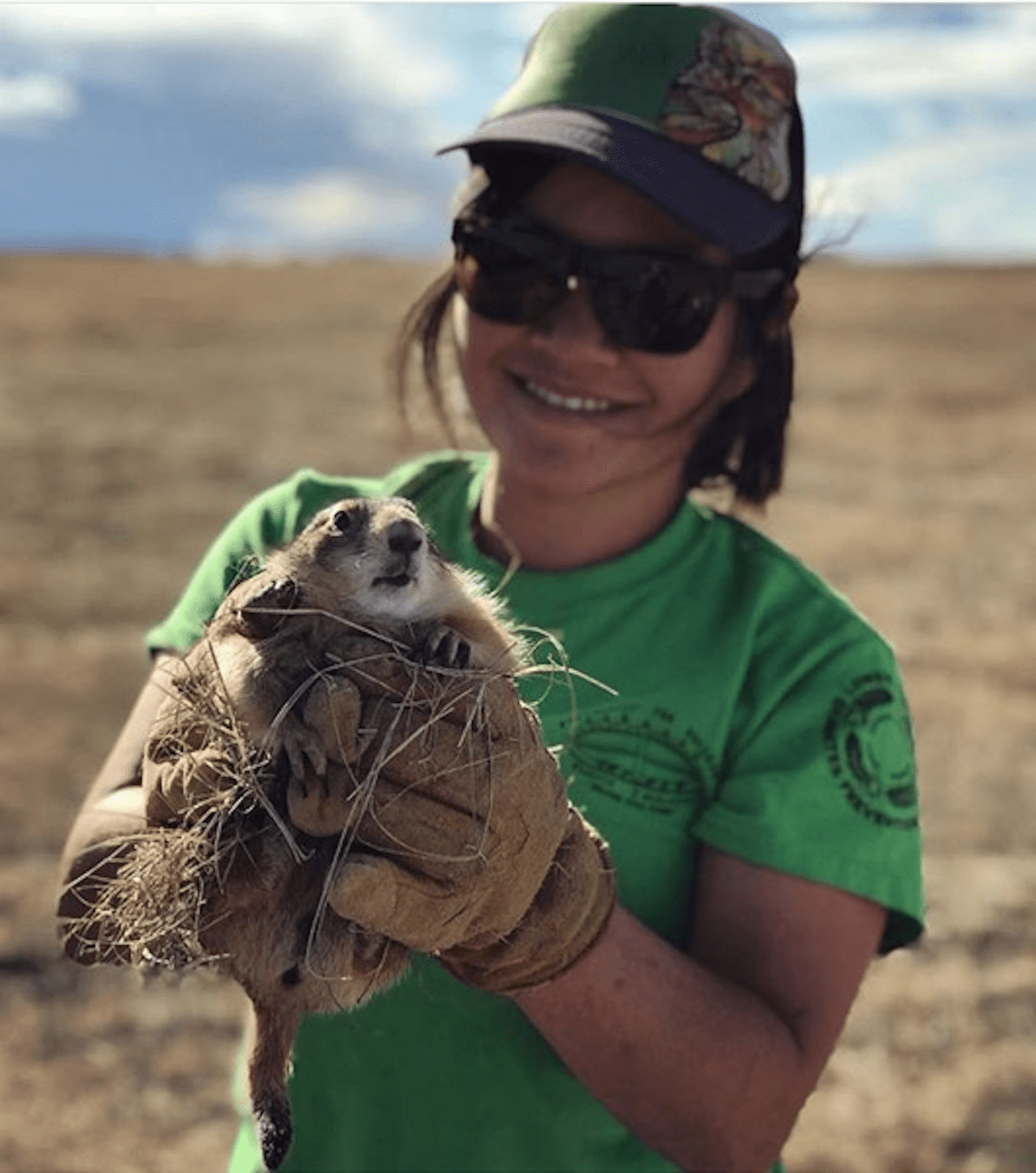 Amazing Grasslands: Prairie Dogs, Black-footed Ferrets, and Bison – Oh My!