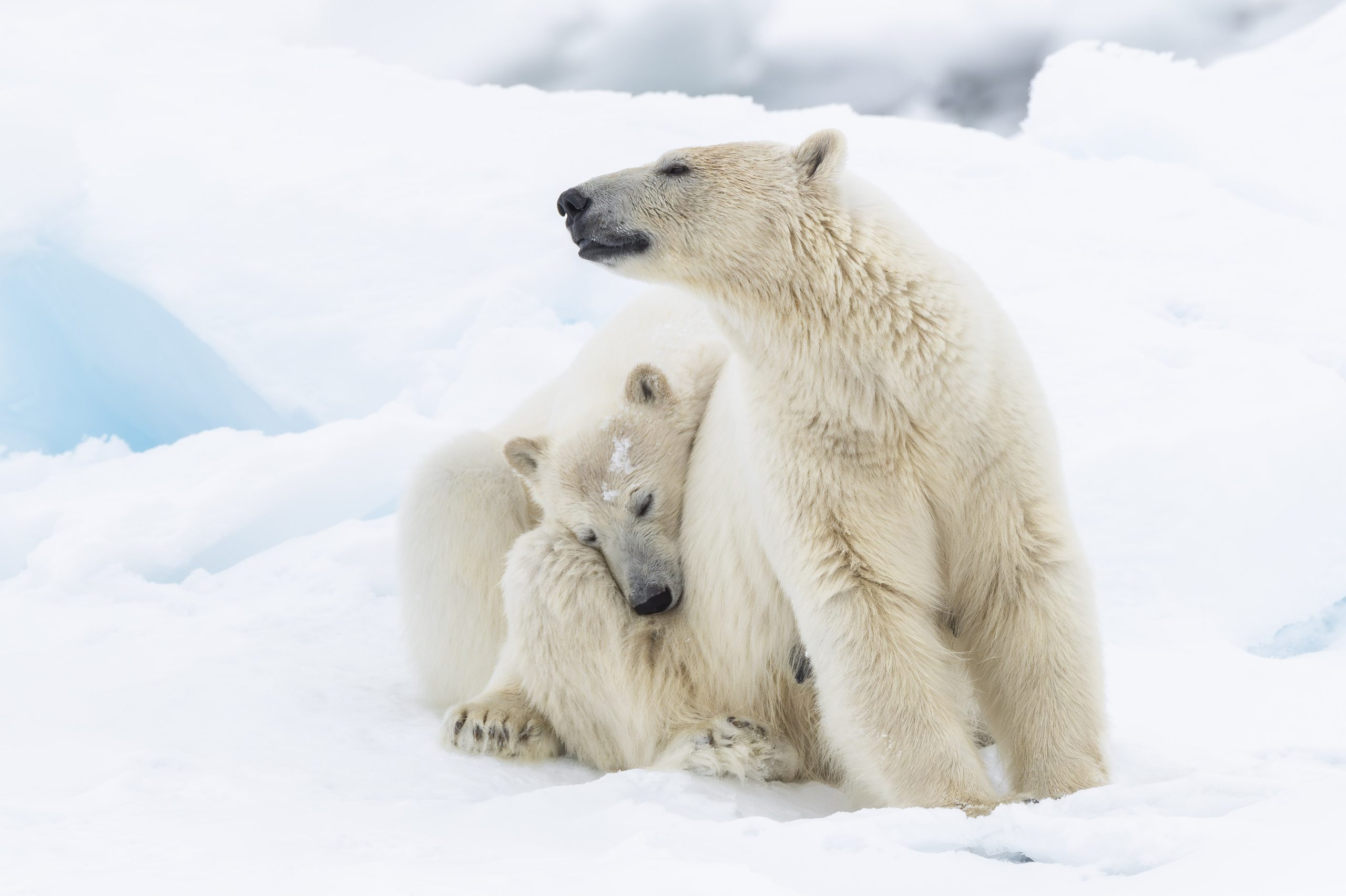 Pioneers of the Possible: Florian Ledoux