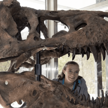 Exploring the Dinosaur Museum with Paleontologist Dr. Emily Bamforth