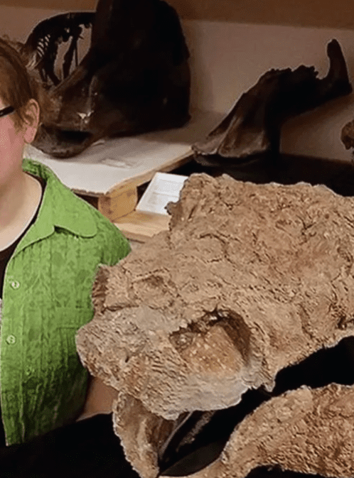 Chasing Dinosaurs in British Columbia with Dr. Victoria Arbour
