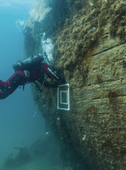 Lost Shipwrecks of the Arctic with Parks Canada