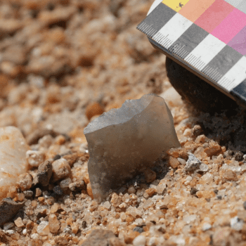 Daily Dive # 267 | Uncovering the Stone Tools of Our Ancestors in Kenya