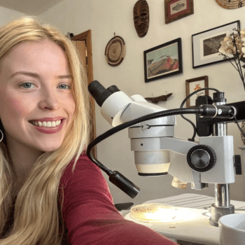 Insect Societies of the World