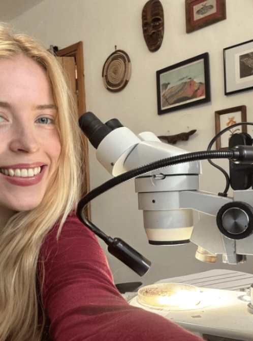 Insect Societies of the World