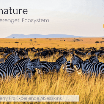 AI For Nature: Saving the Serengeti