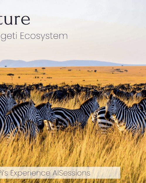 AI For Nature: Saving the Serengeti