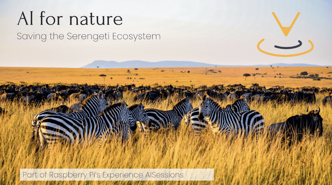 AI For Nature: Saving the Serengeti