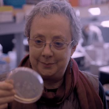 Daily Dive # 276 | Meet 2025 Gairdner Award Winner Iva Greenwald
