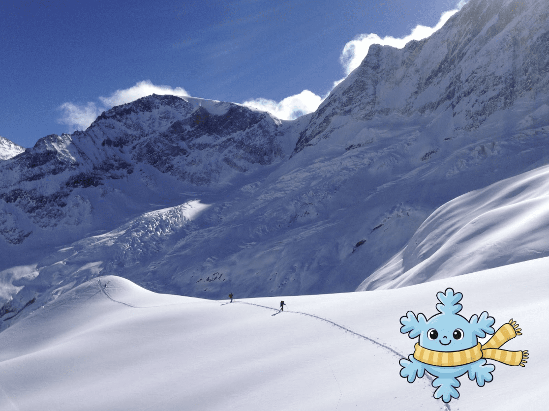 A Snowflakes Journey with Parks Canada