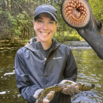 Sea lamprey: Slimy suckers of the Great Lakes