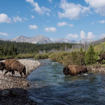 Aventure printanière de Parcs Canada