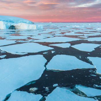 Around the Americas: Sea Ice Advance in the Western Arctic