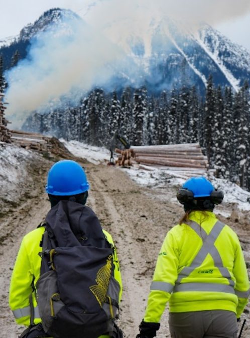 The Firebreak Makers: Creating a Fire Guard in Banff National Park