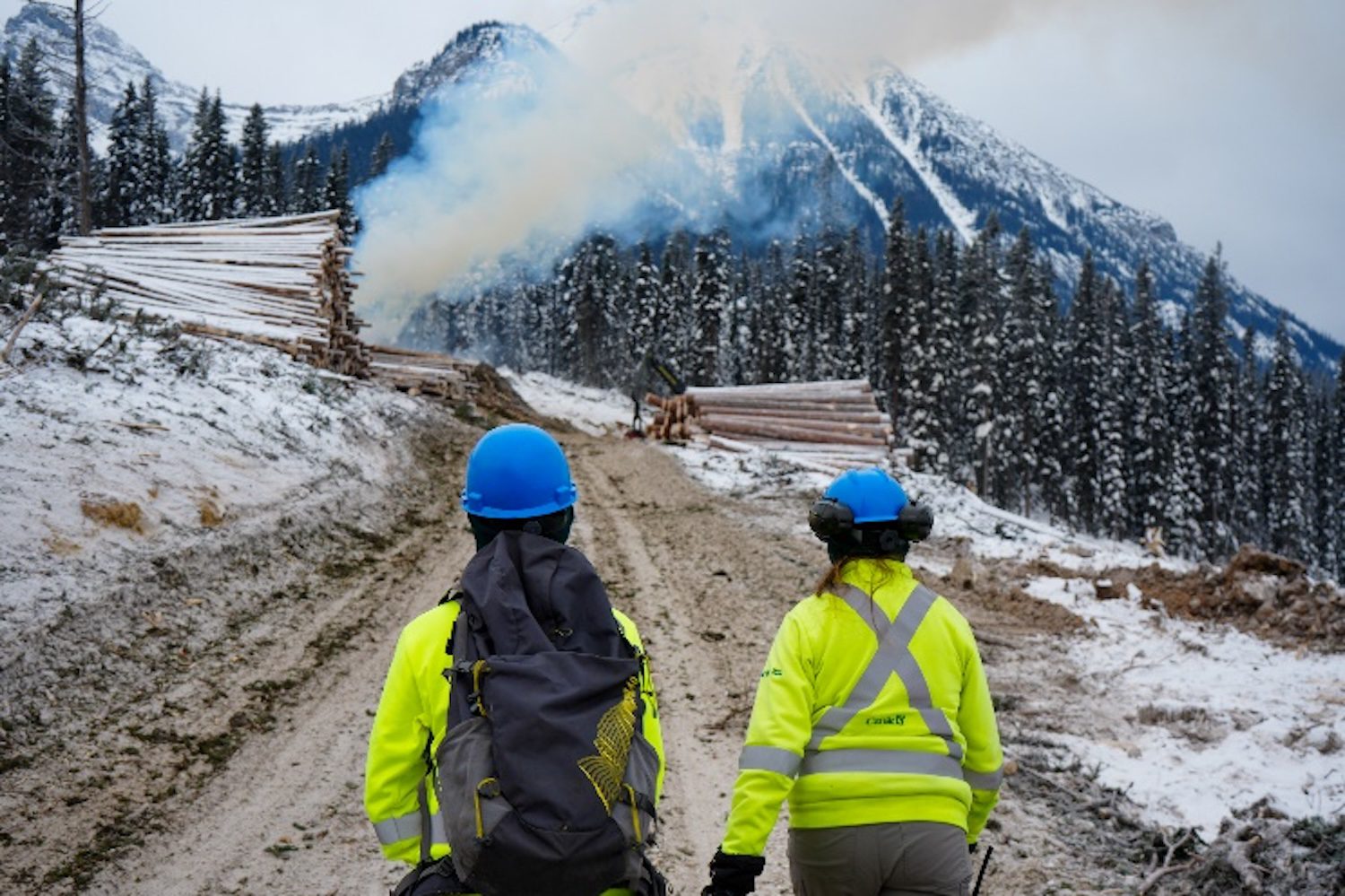 The Firebreak Makers: Creating a Fire Guard in Banff National Park