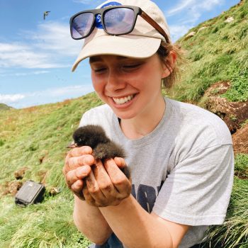 Puffin Patrol with Jill Taylor