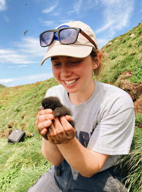 Puffin Patrol with Jill Taylor