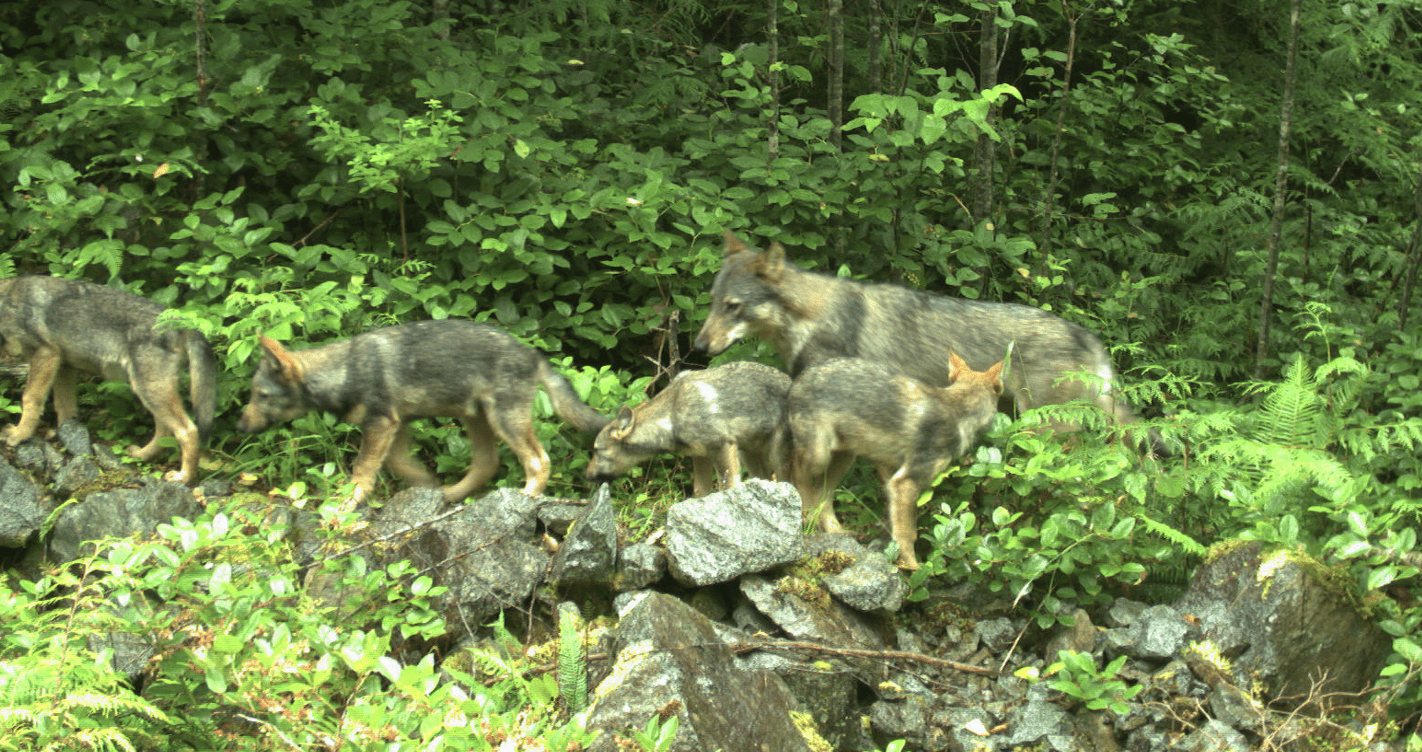 Parks Canada BC Series