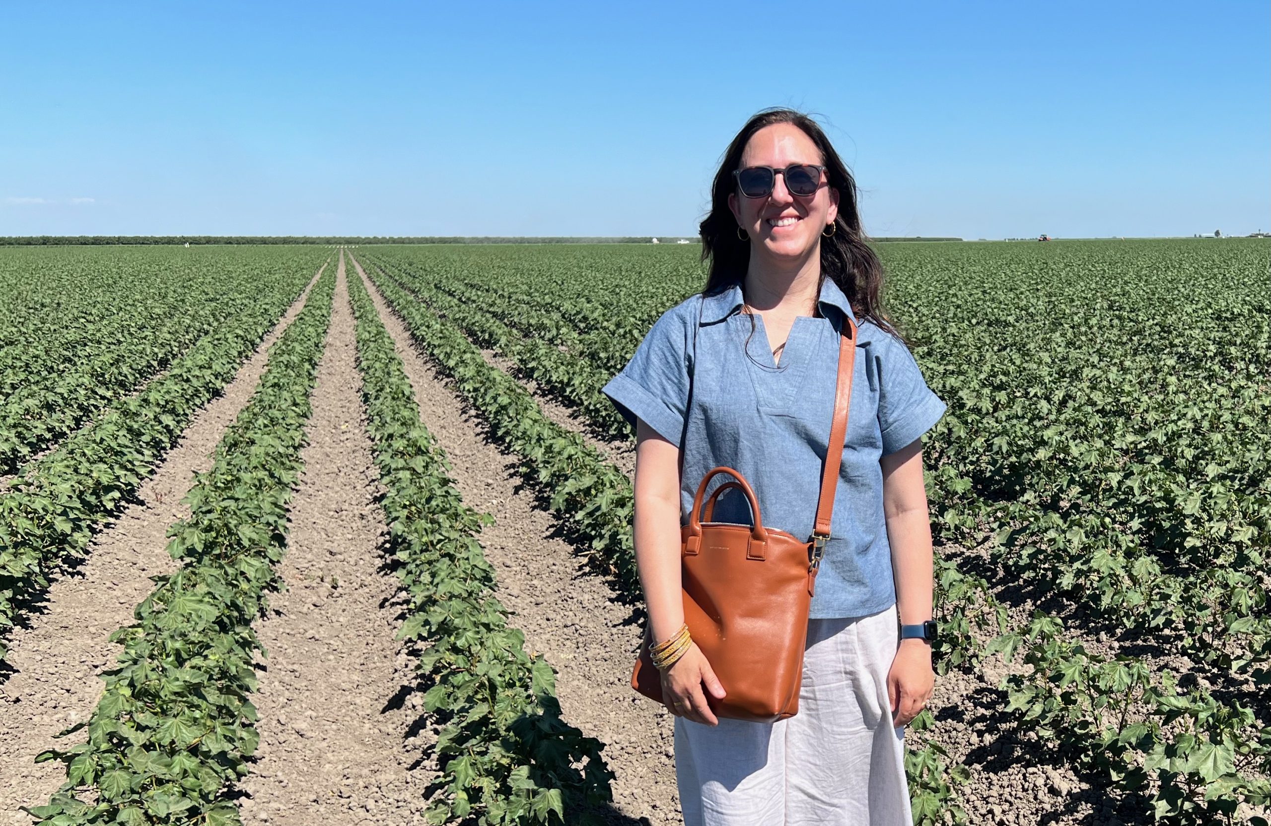 From Dirt to Shirt: The Secret Life of Your Clothes! 