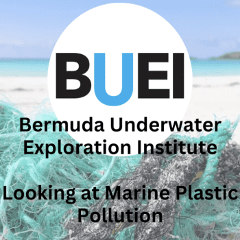 Around the Americas: Looking at Plastic Pollution