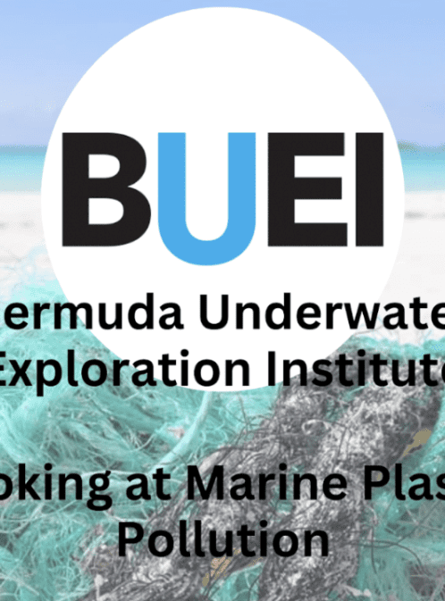 Around the Americas: Looking at Plastic Pollution