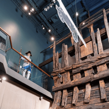 Dive into History