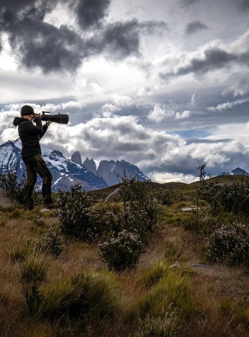 Pioneers of the Possible: Wildlife Photographer Michelle Valberg
