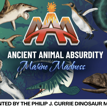 Ancient Animal Absurdity with the Dino Museum
