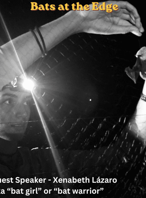 Around the Americas: Bats at the Edge of the World